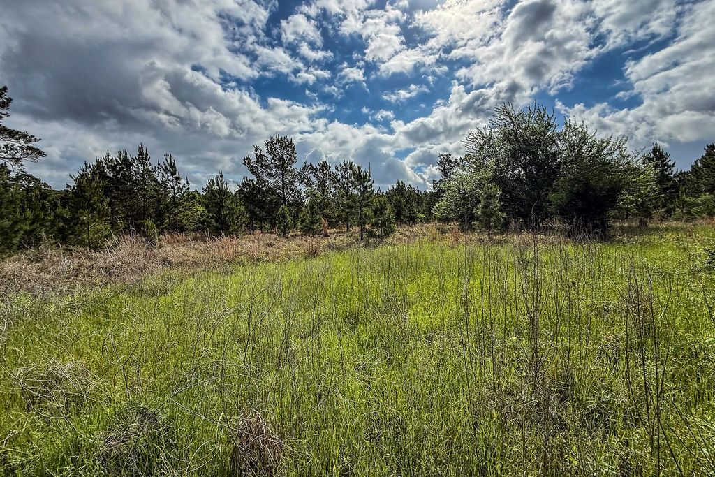 Grass field with dramatic sky
