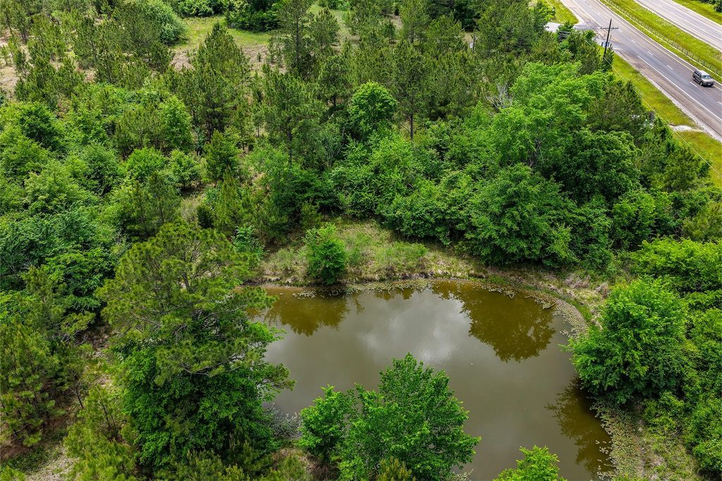 Pond with Hwy 19 view